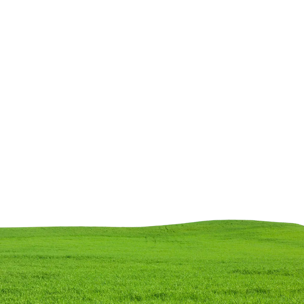 A distant field on sirkorgo.com